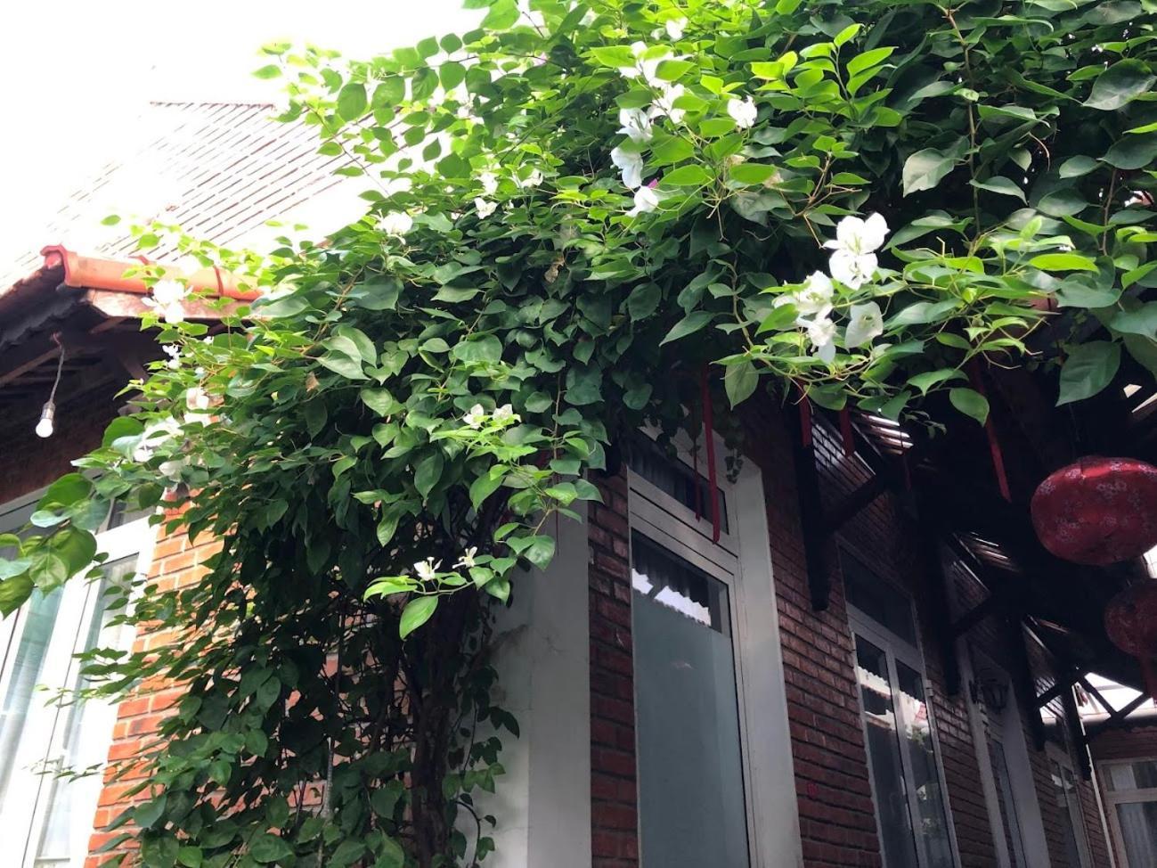 Q'Tropical Garden Homestay Huế Kültér fotó